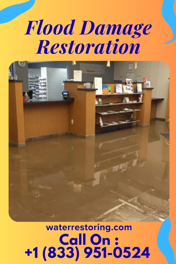 Flood Damage Restoration in Sorrento, LA