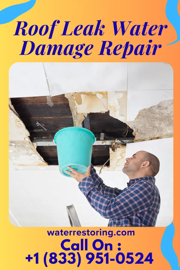 Roof Leak Water Damage Repair in Sorrento, LA